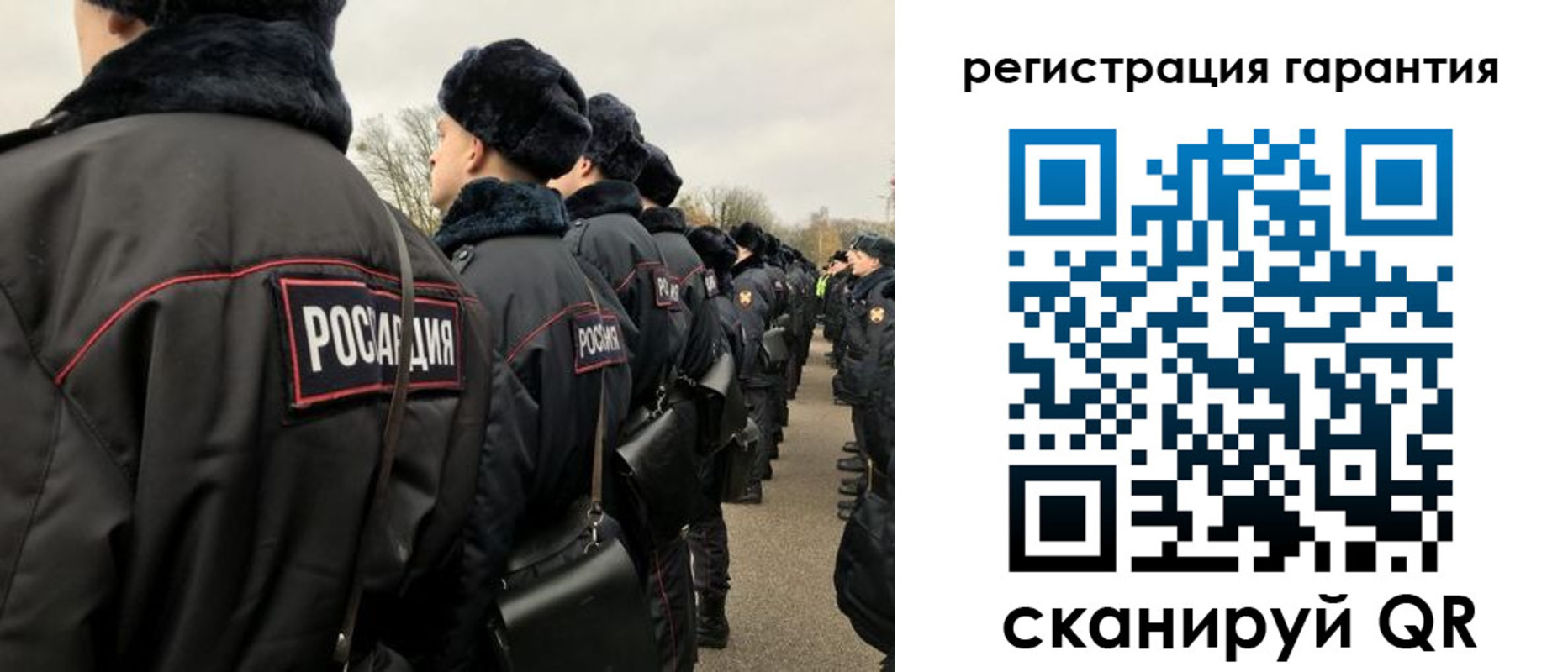прописка поиск в Светлогорске