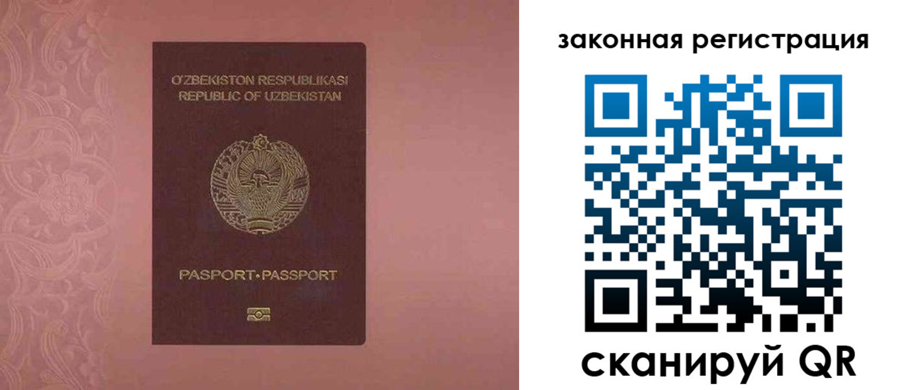 прописка регистрация в Светлогорске